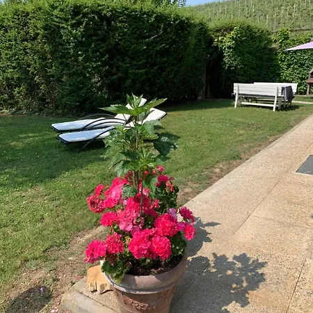 شقة Casa 